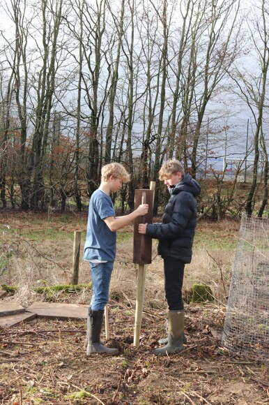 Orchard Planting FarmEd S. Bassett 09.02.24 SBA Student Photo Permissions Confirmed 4
